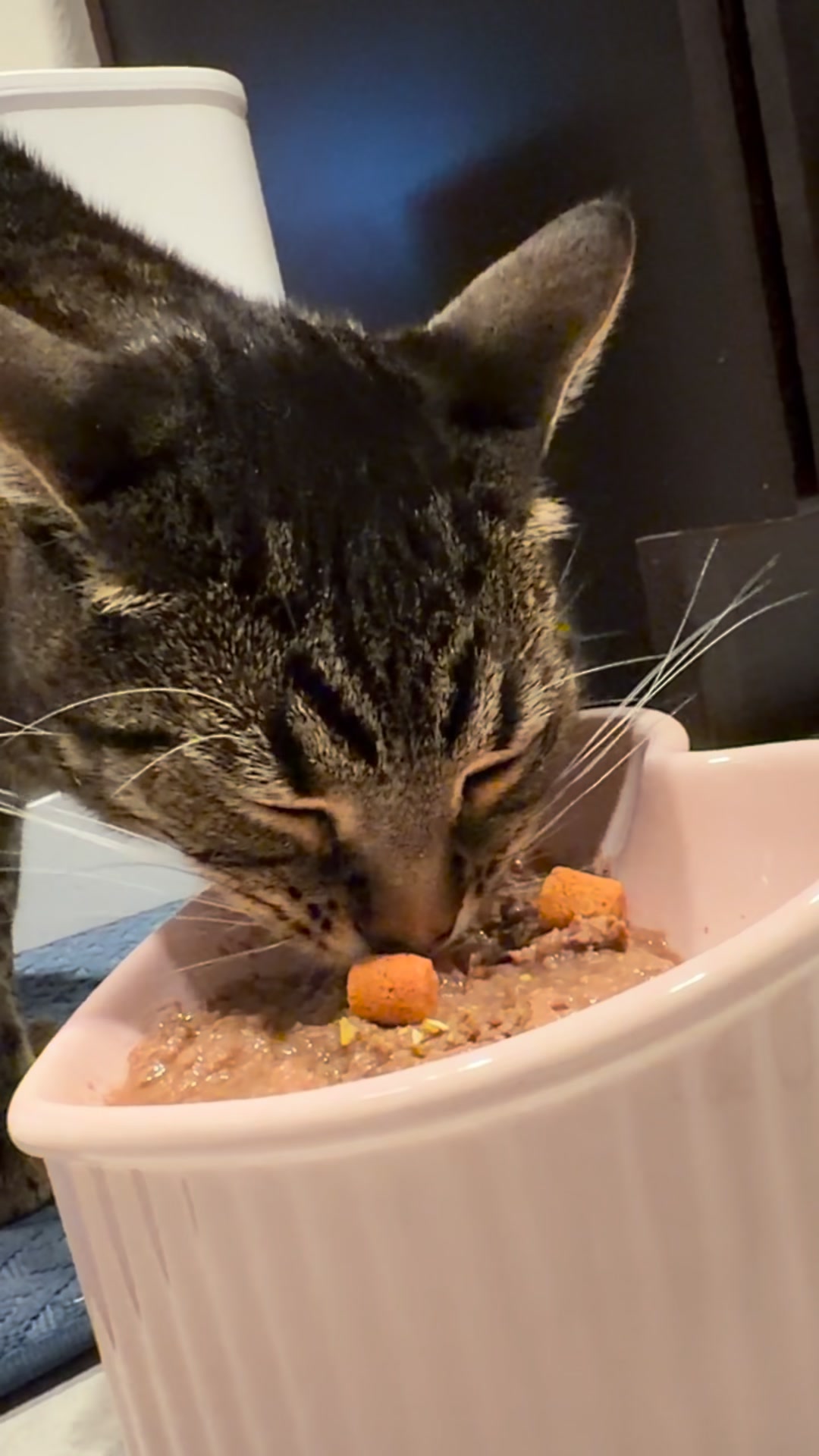 Get 15% off with code CLEAR15