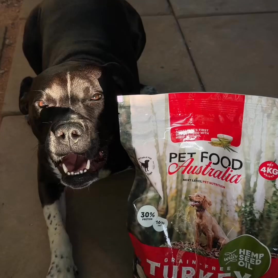 Finally! An Option for Sensitive Dogs