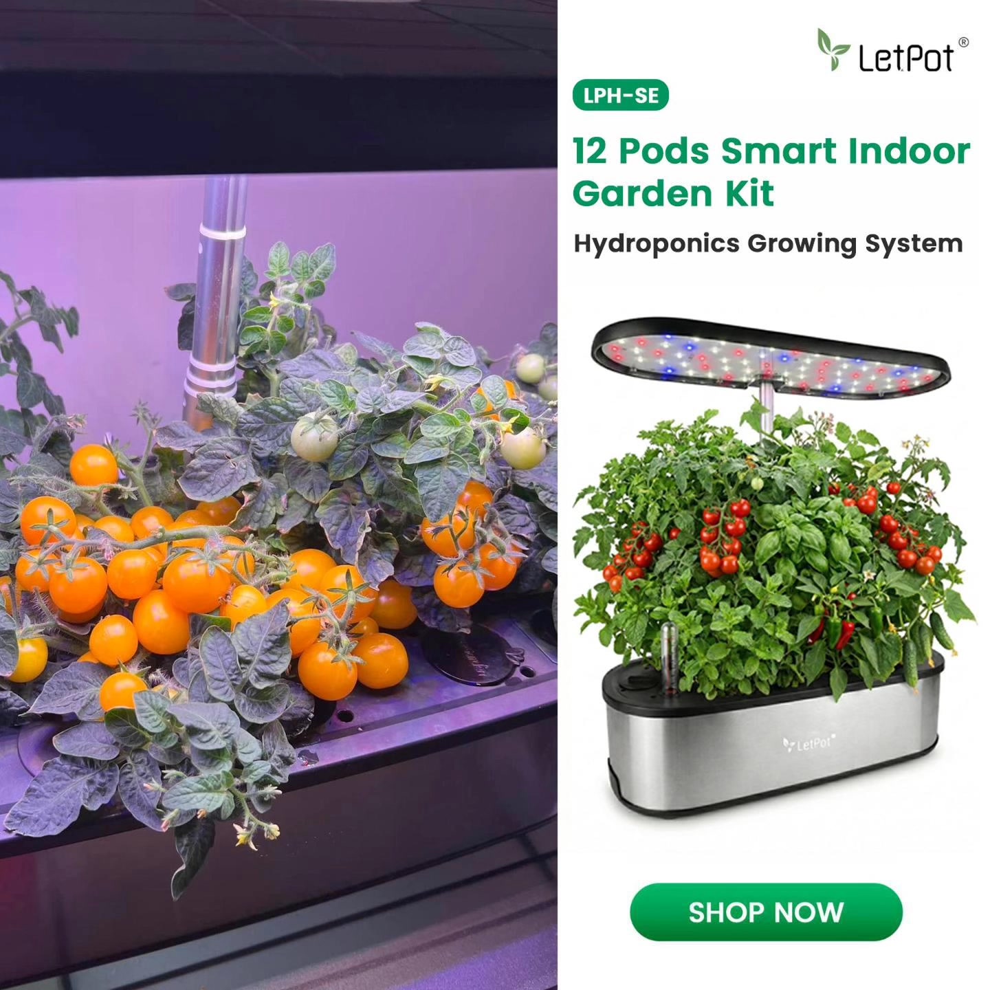 🪴Grow Smarter, Grow Fresh