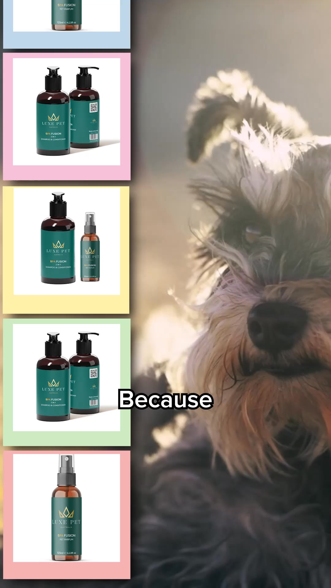 Keep Your Pet Happy and Healthy!