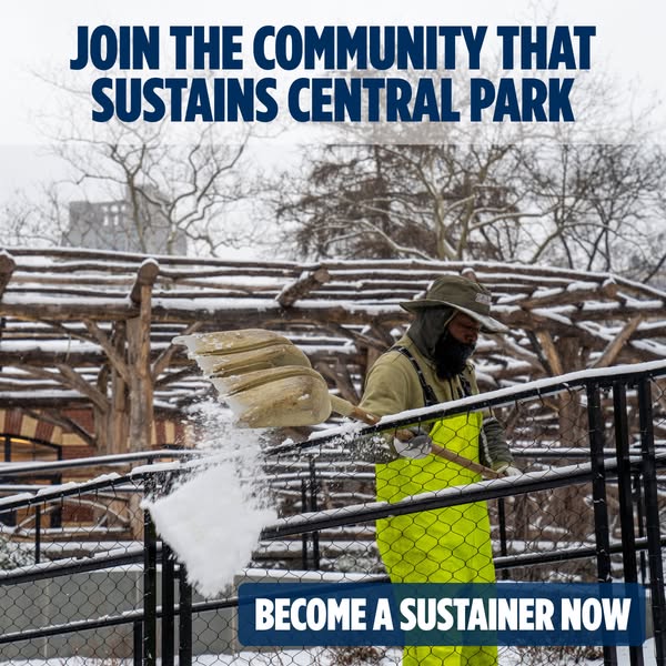 Sustain Central Park Year-Round