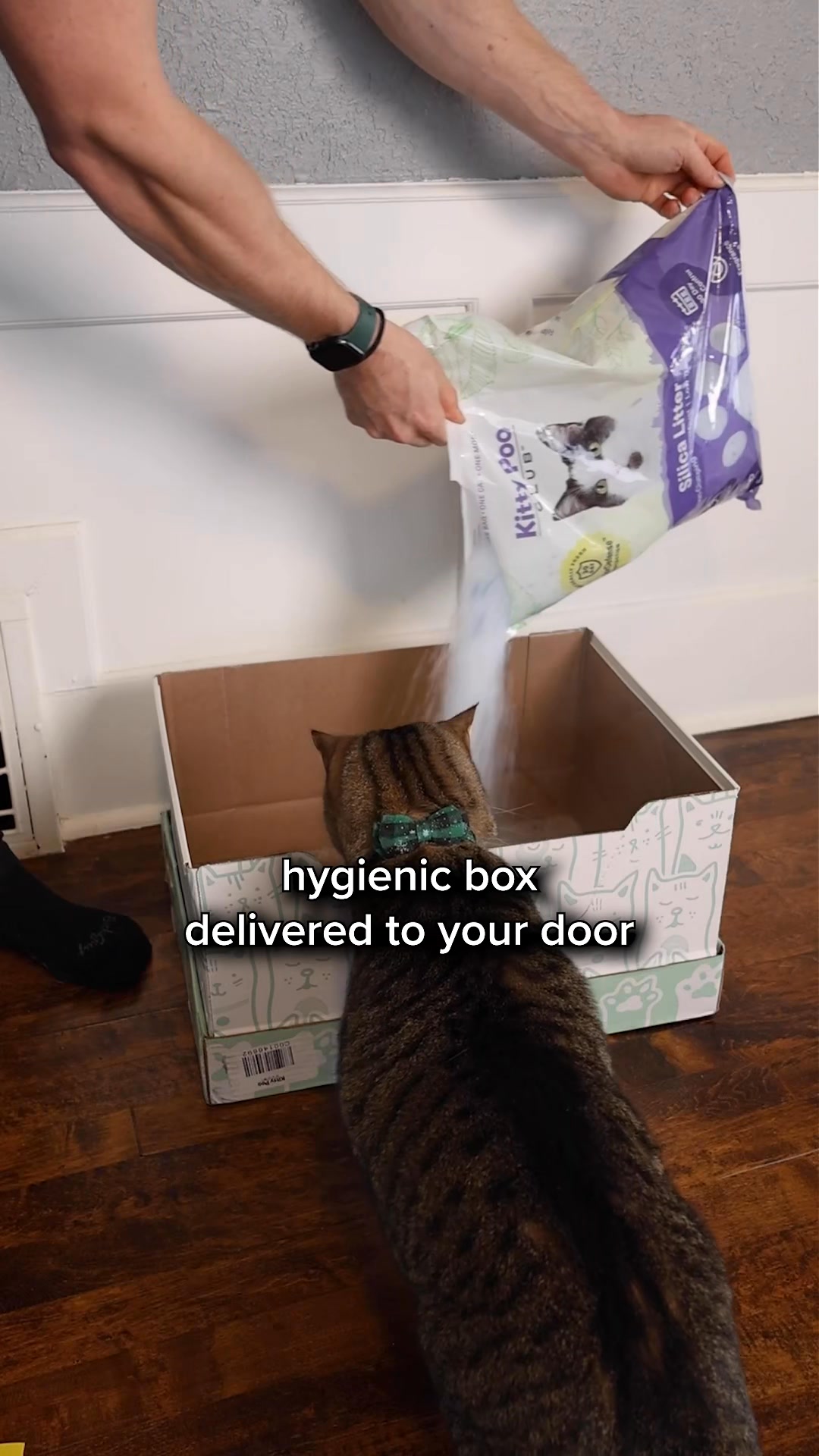 Say Goodbye to Stinky Litter Boxes