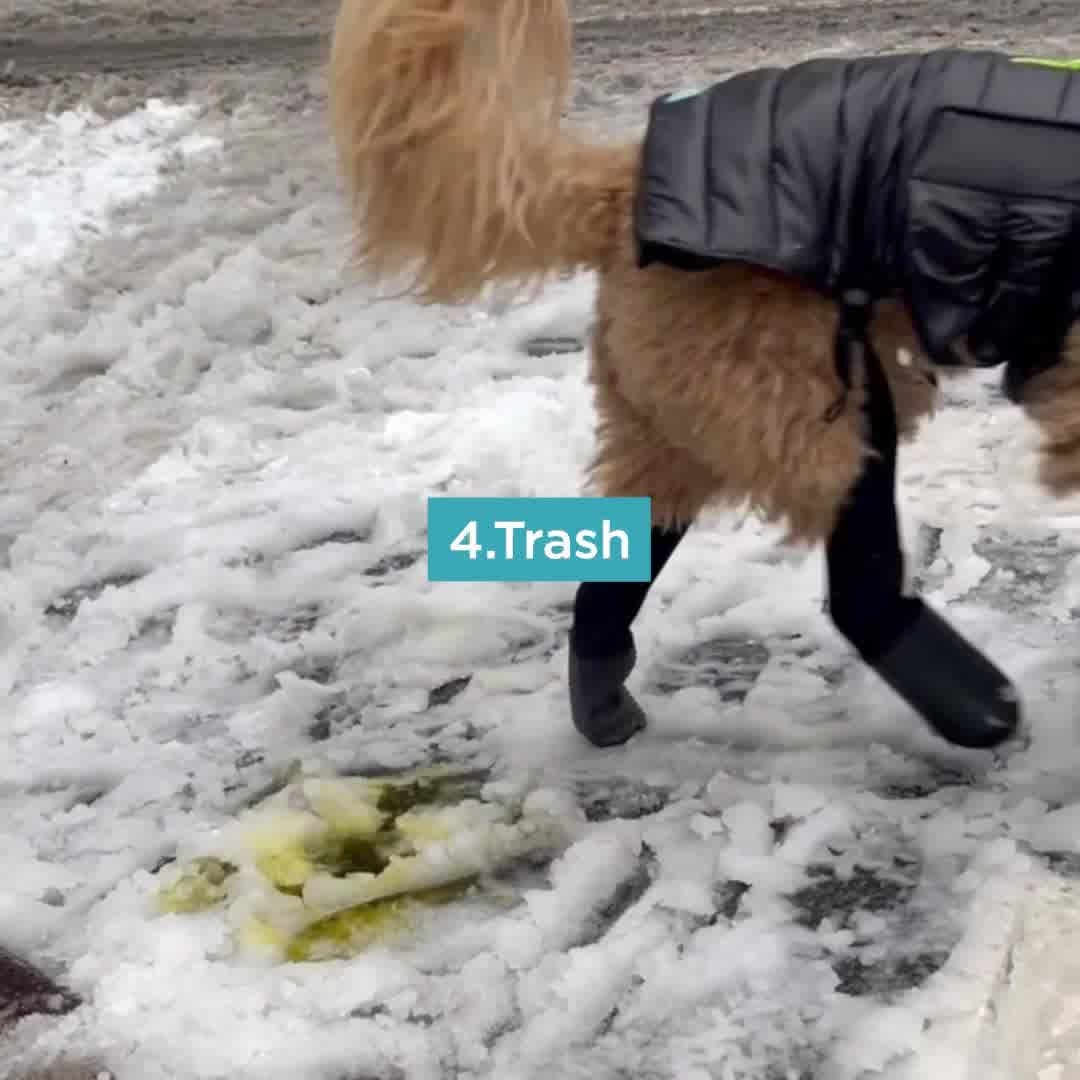 Stop Losing Dog Boots Forever.