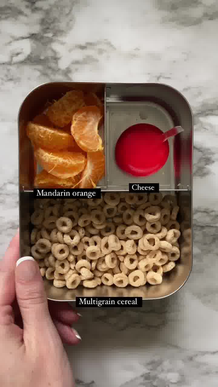 The Stainless Steel Lunch Revolution