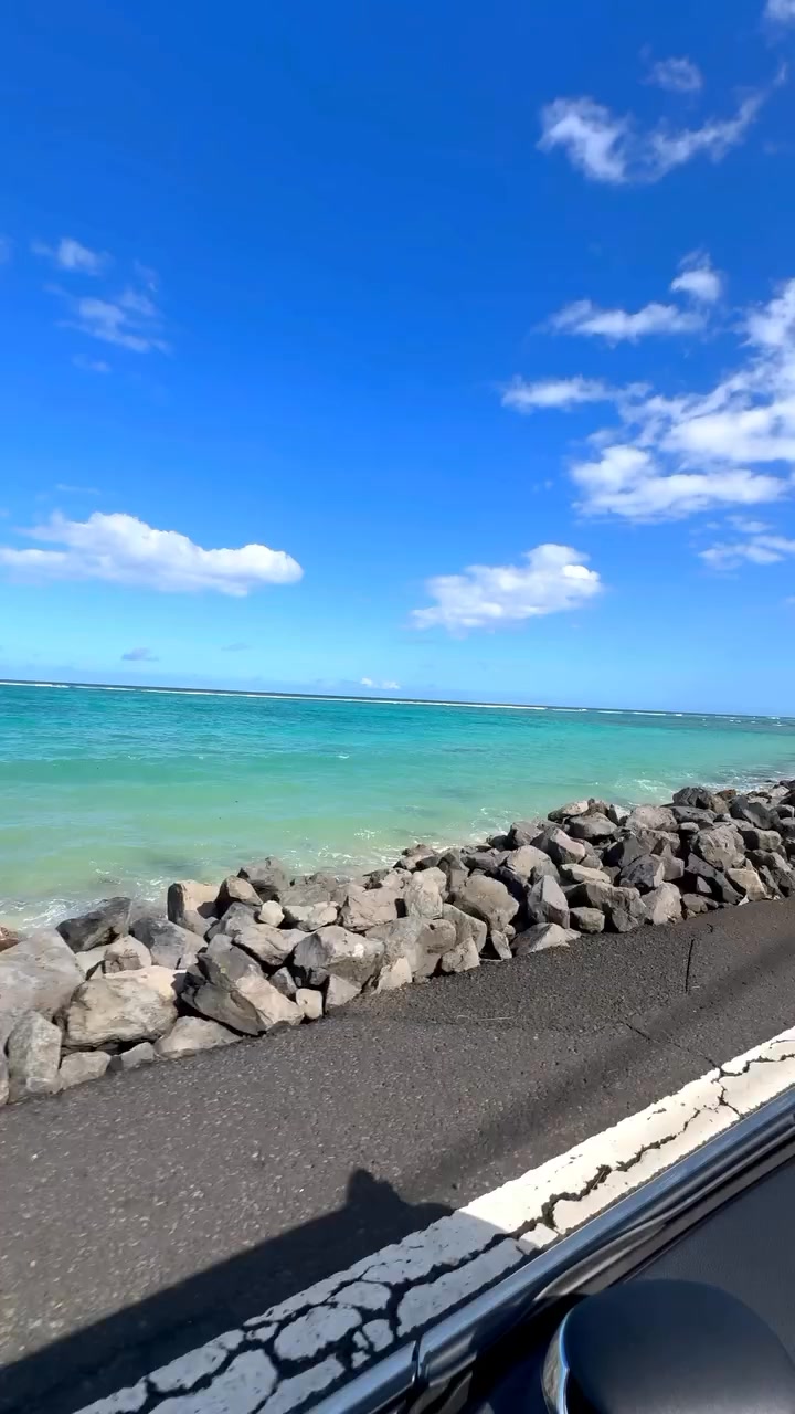 Diving + Navbow + turtles = happy memories!