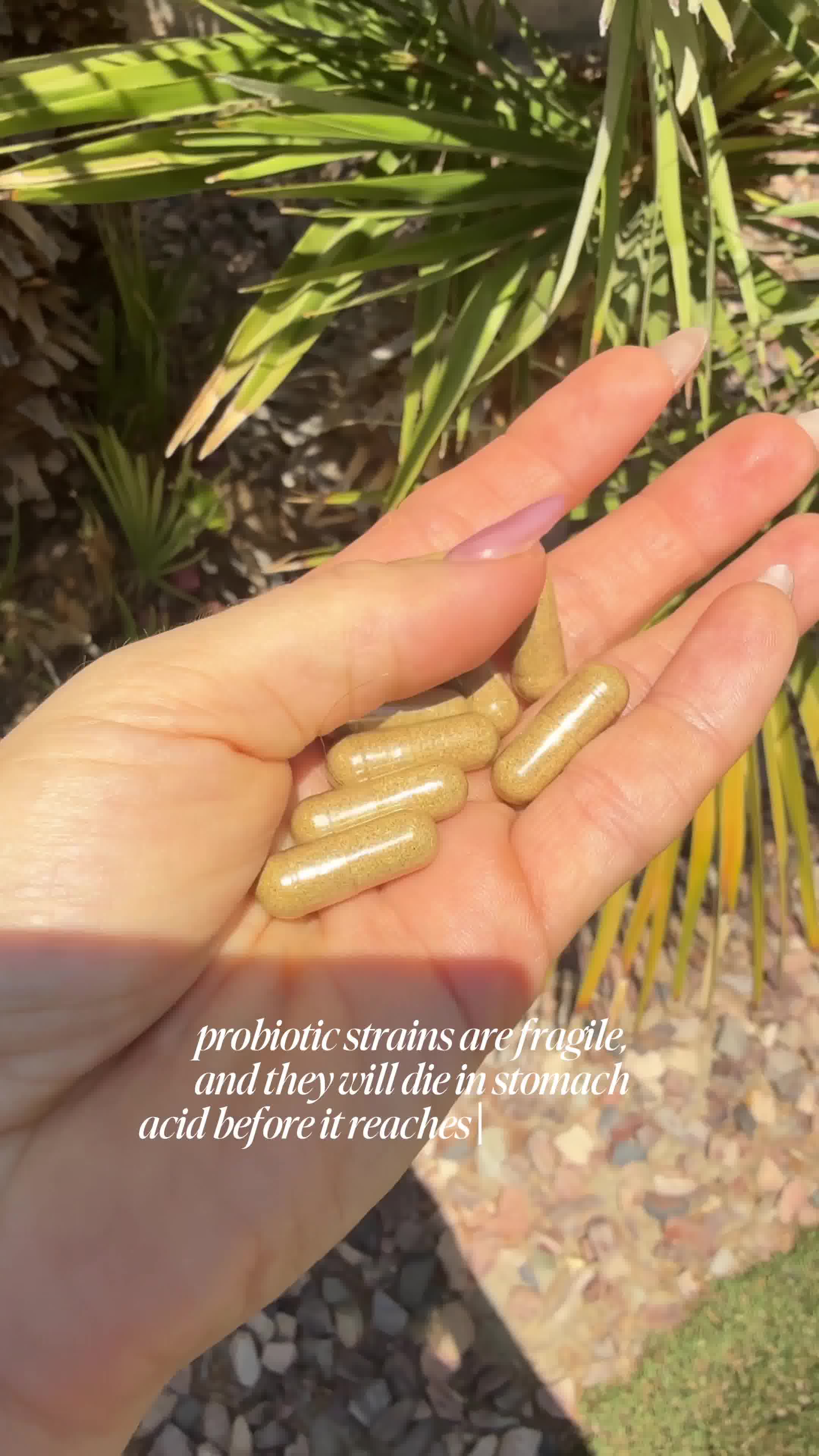 WonderBiome 2-1 Pre & Probiotic Gummies