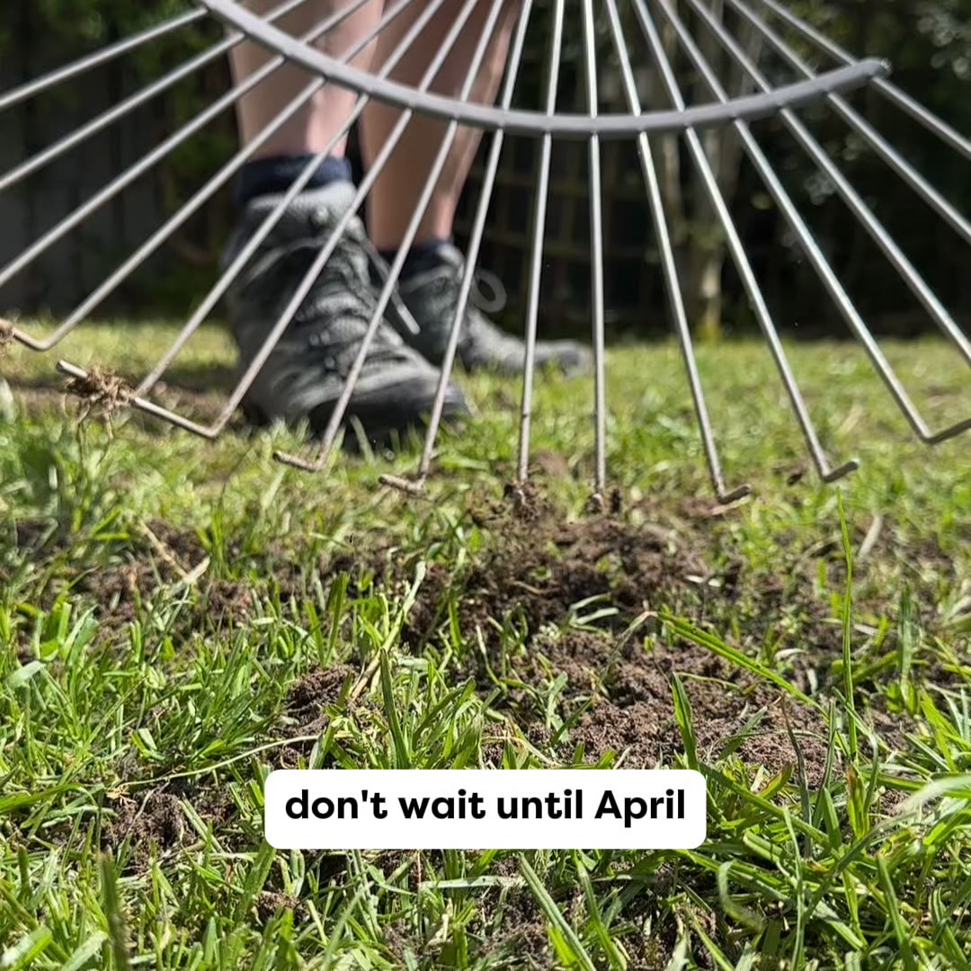 Fix Your Lawn Before Spring Takes Off 🏡 Money Back Guarantee ✅