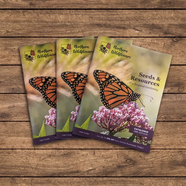 Get Your 2026 Seed Catalogue!