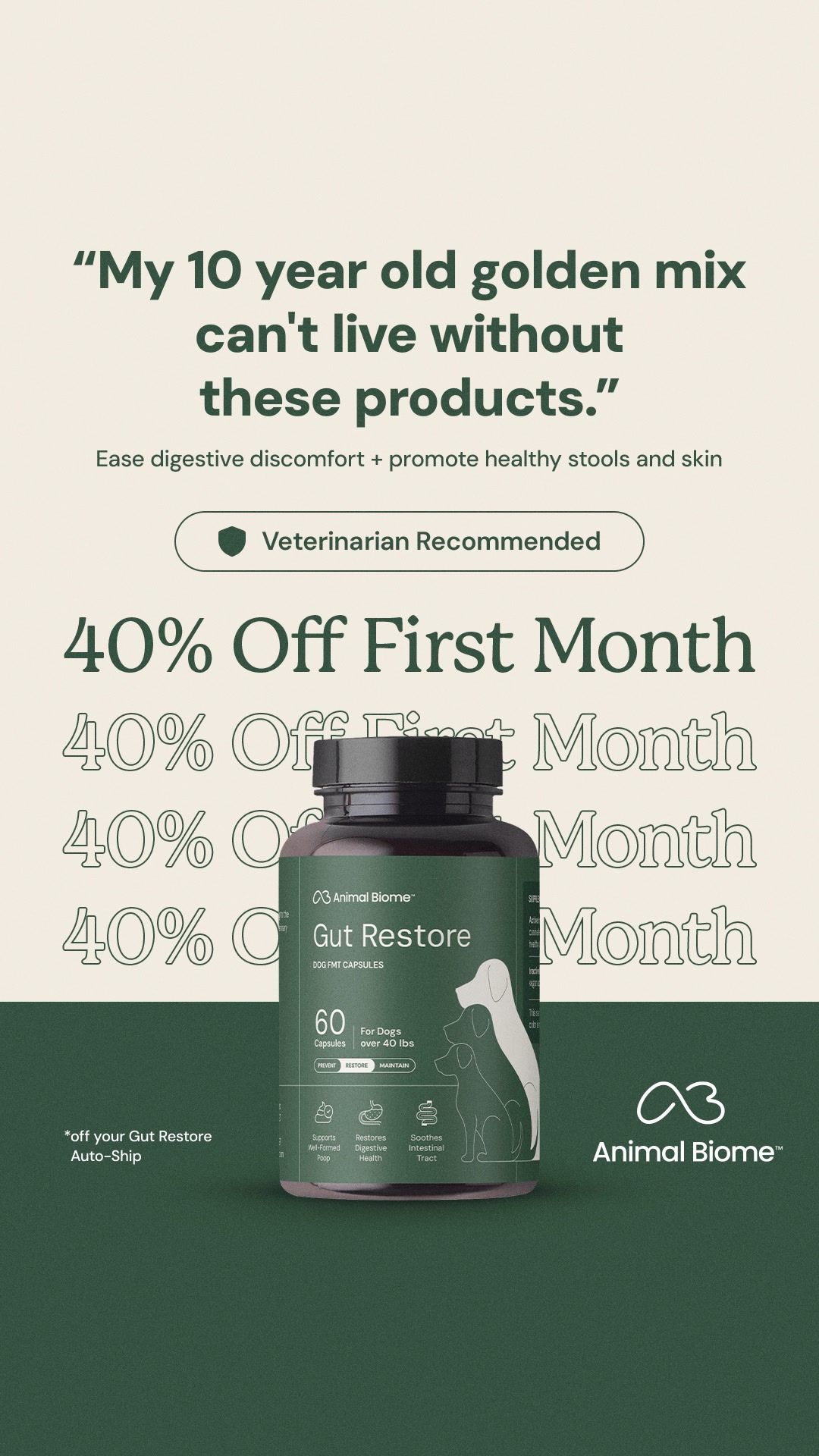 A Happy Dog Starts With A Healthy Gut