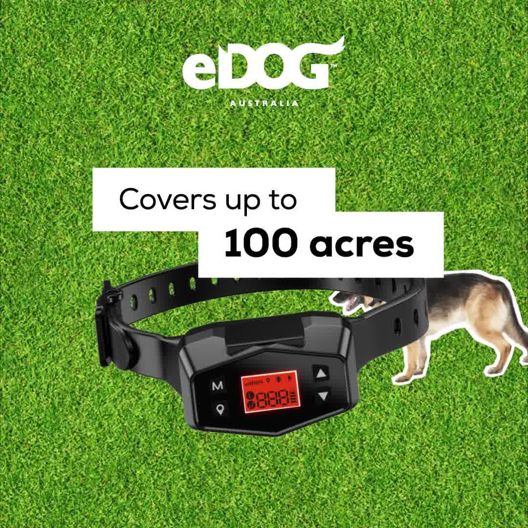 10% OFF USE CODE: WELCOME