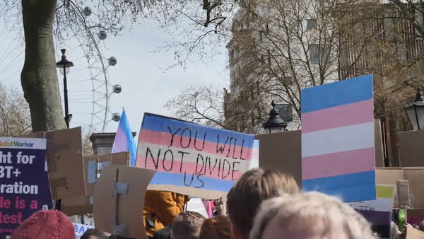 URGENT: Add your name to the official record of support for trans rights >>