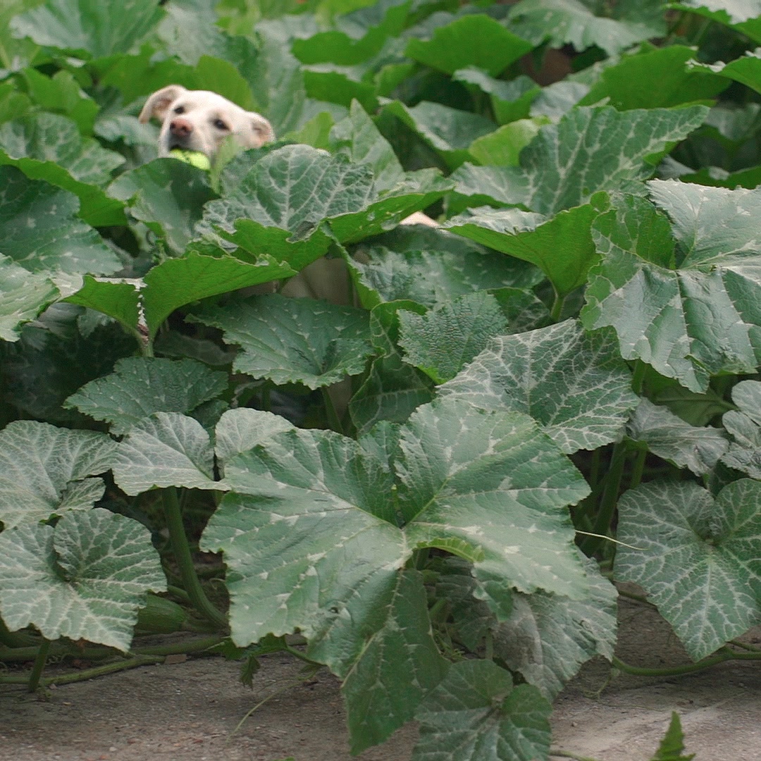 Construye sus próximos años