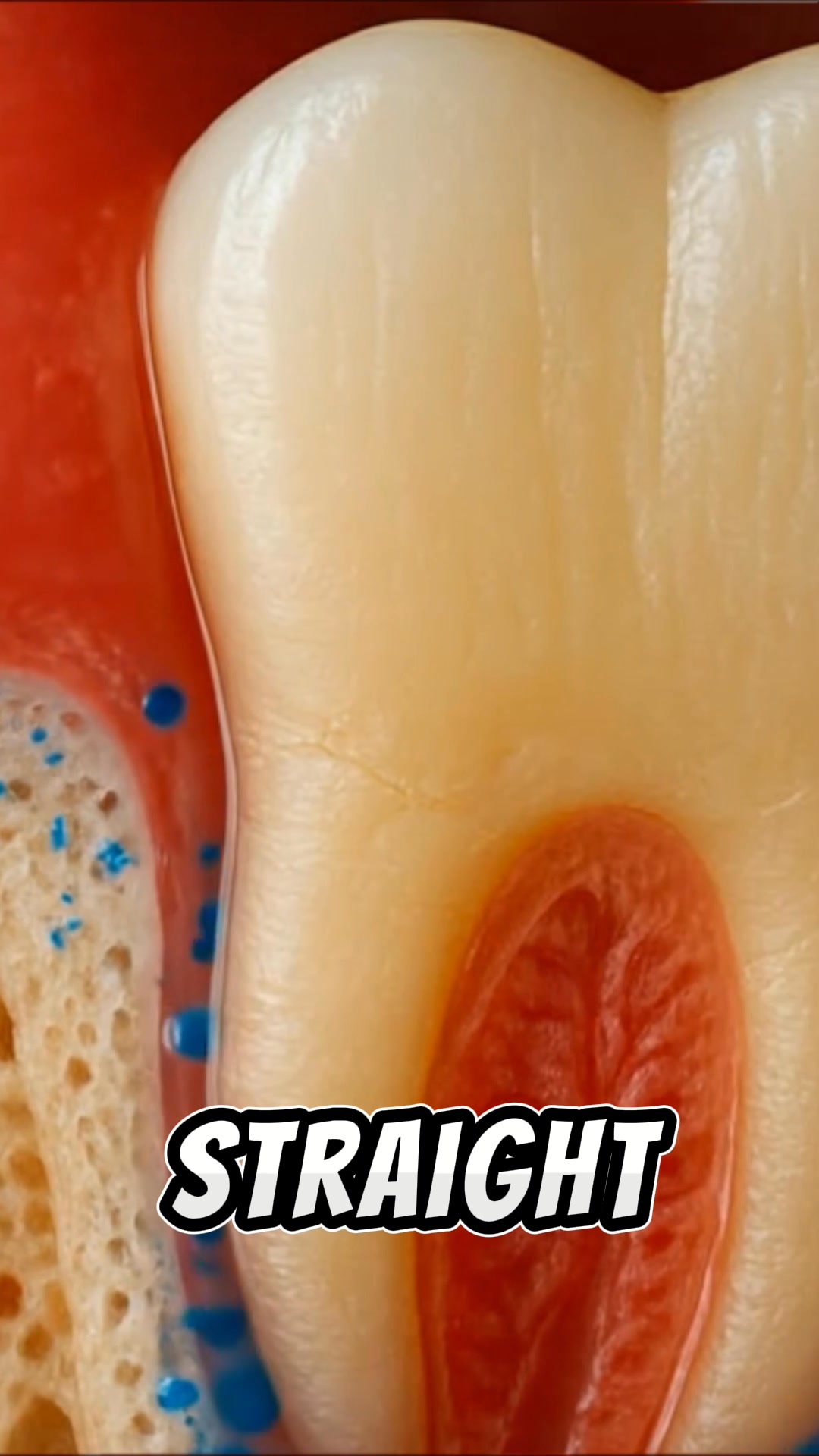 The Only 100% Microplastic-Free Toothbrush