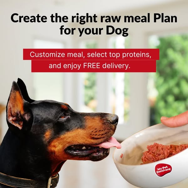 Build a Custom Bowl in 3 Clicks + Free Shipping.