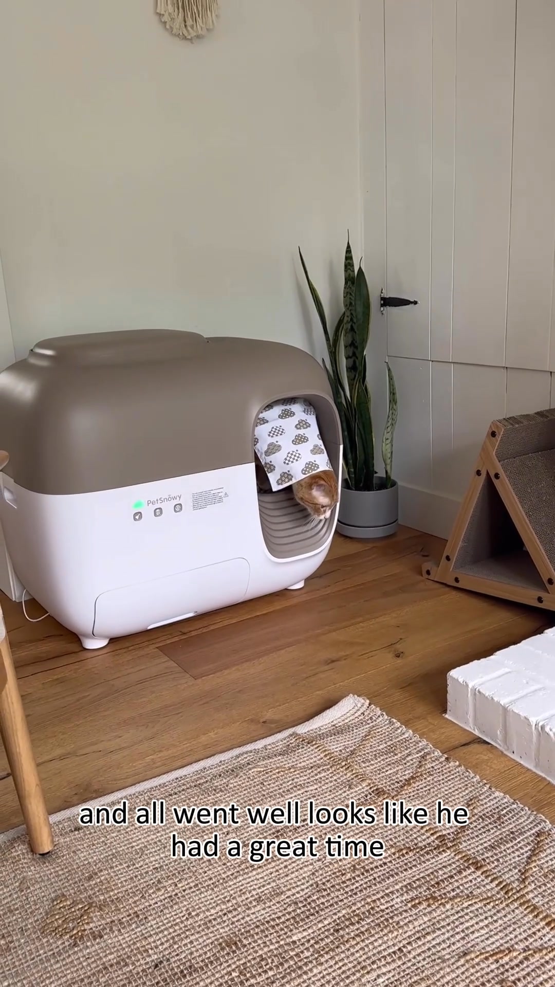 Smart Litter Box