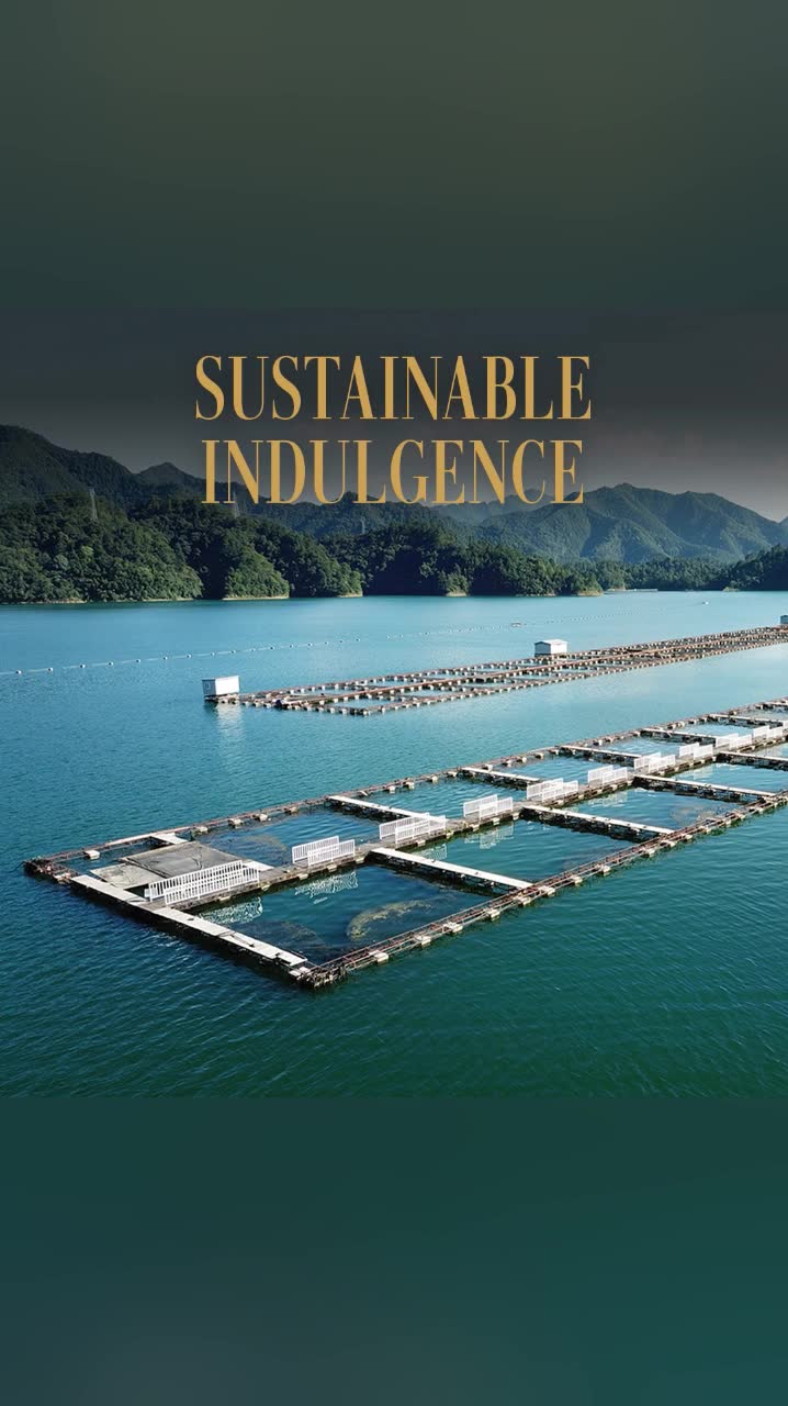 The Highest Quality Caviar