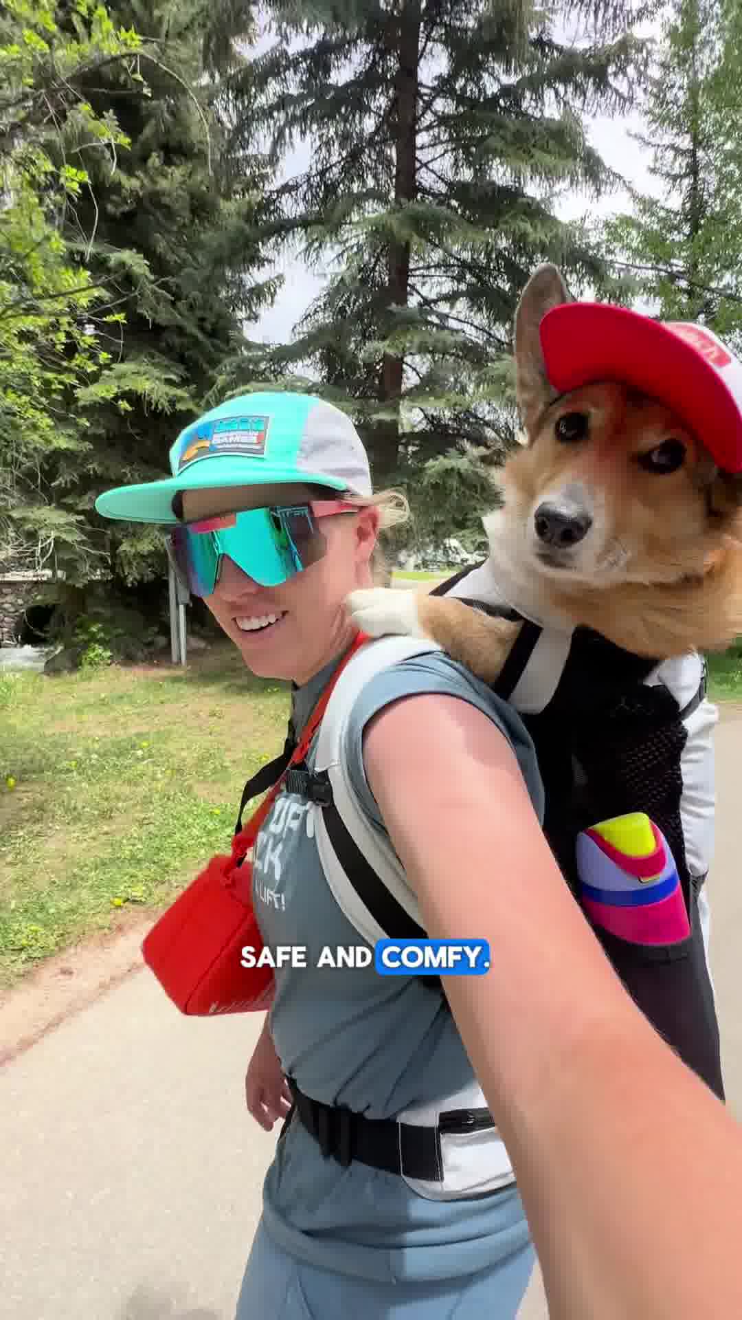 Adventure Awaits—Fetch Yours!