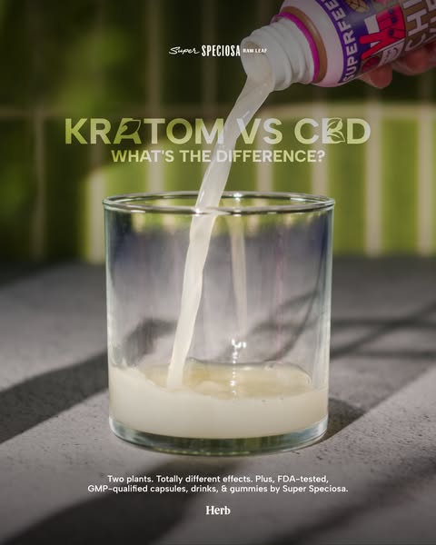 Read the Full Comparison