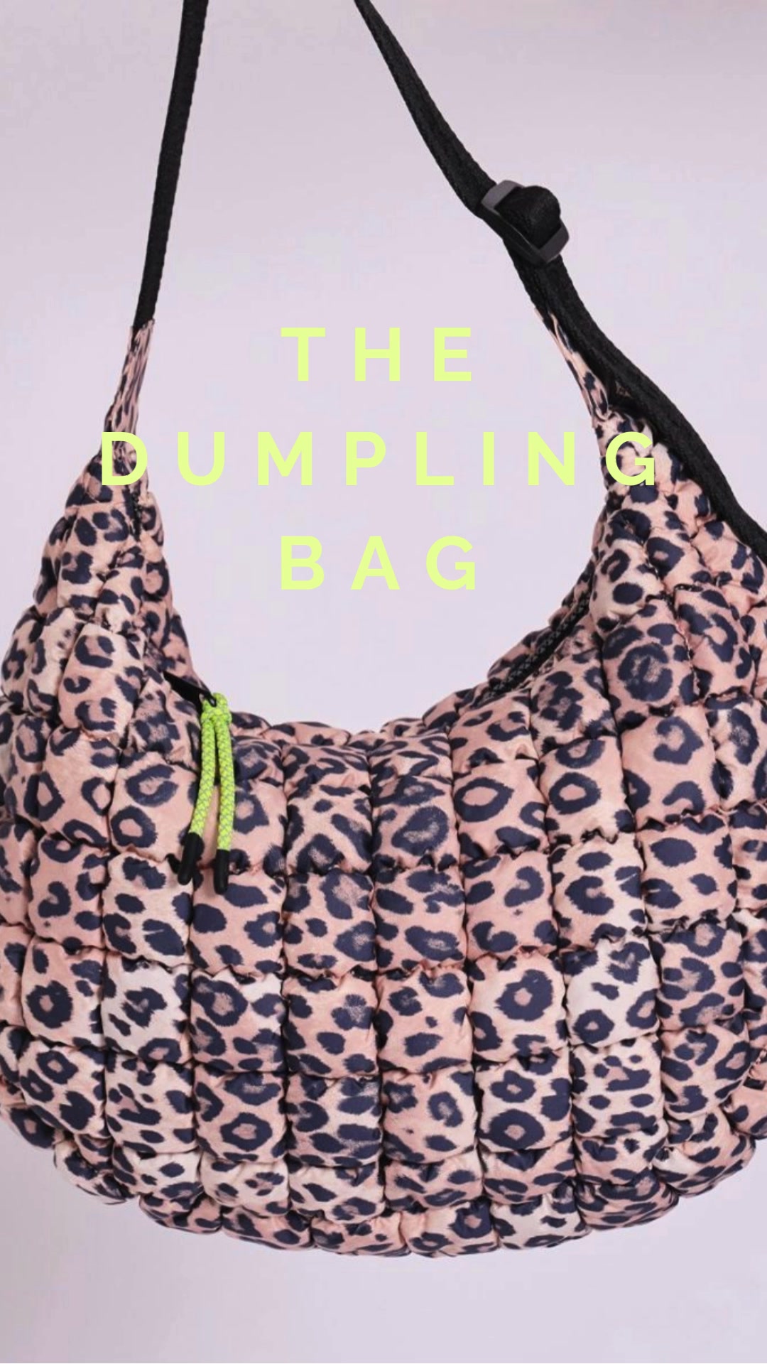 The Dumpling Bag