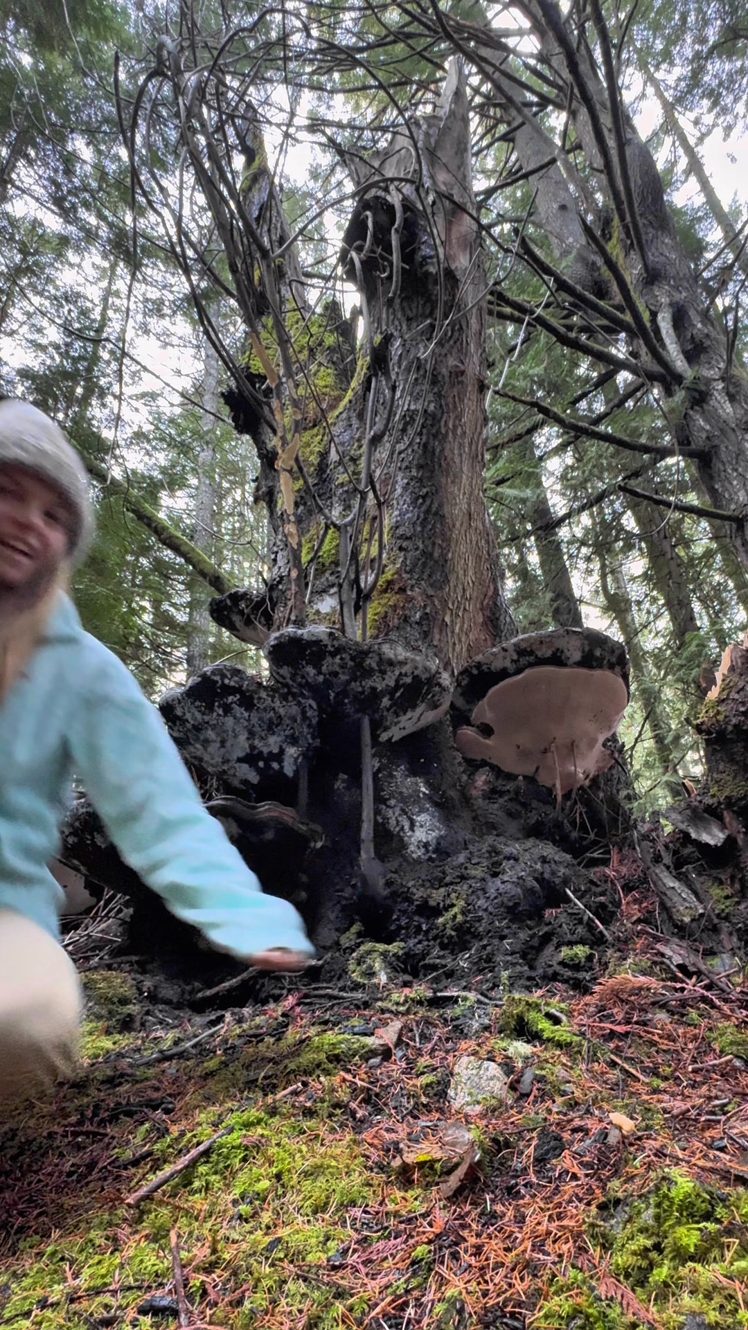 Tune into Nature's Secret Song