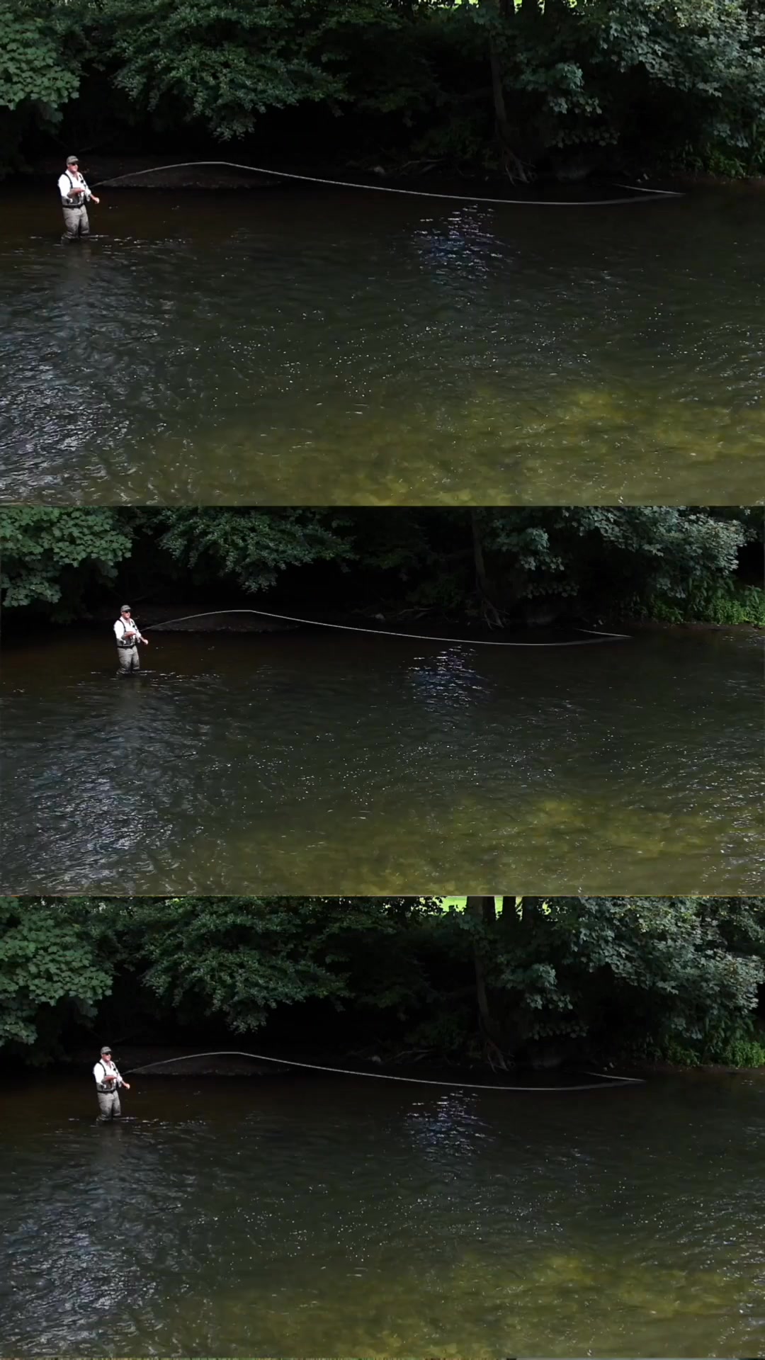 Sameday Worldwide Shipping