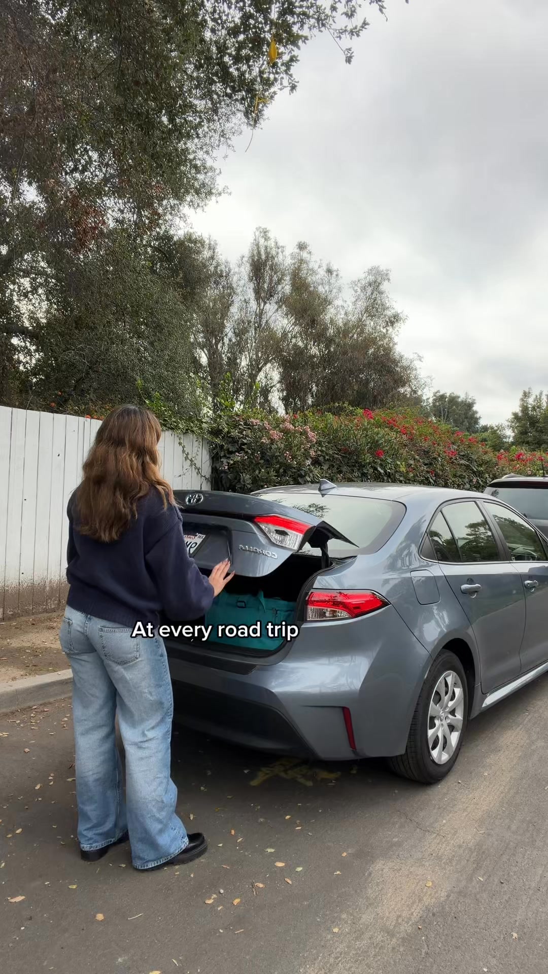 NEW Freezable Market Tote! 🛍❄