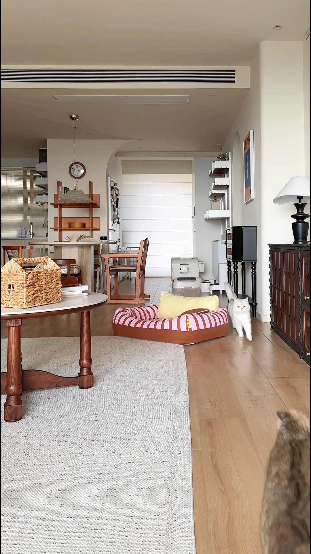 Holiday cheer, minus the sneezes.

Dander in the air, lingering odors, post-party chaos.

But they don’t need to stay in your home.

PetSnowy Air Purifier quietly captures pet hair, dander, and odors with powerful multi-layer filtration—keeping your air fresh, clean, and ready for every holiday cuddle and New Year’s toast.

#petsnowy #holidayseason #airpurifier #airpurifierforpets