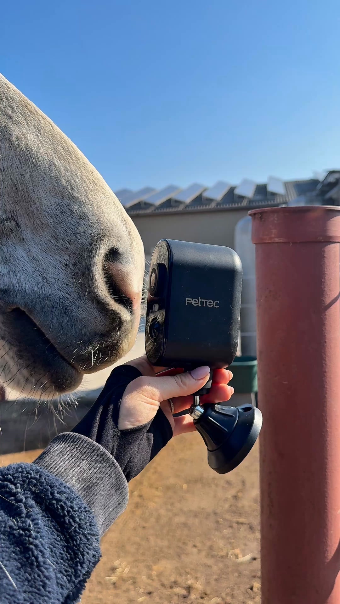 PetTec Cam Free 4G/LTE