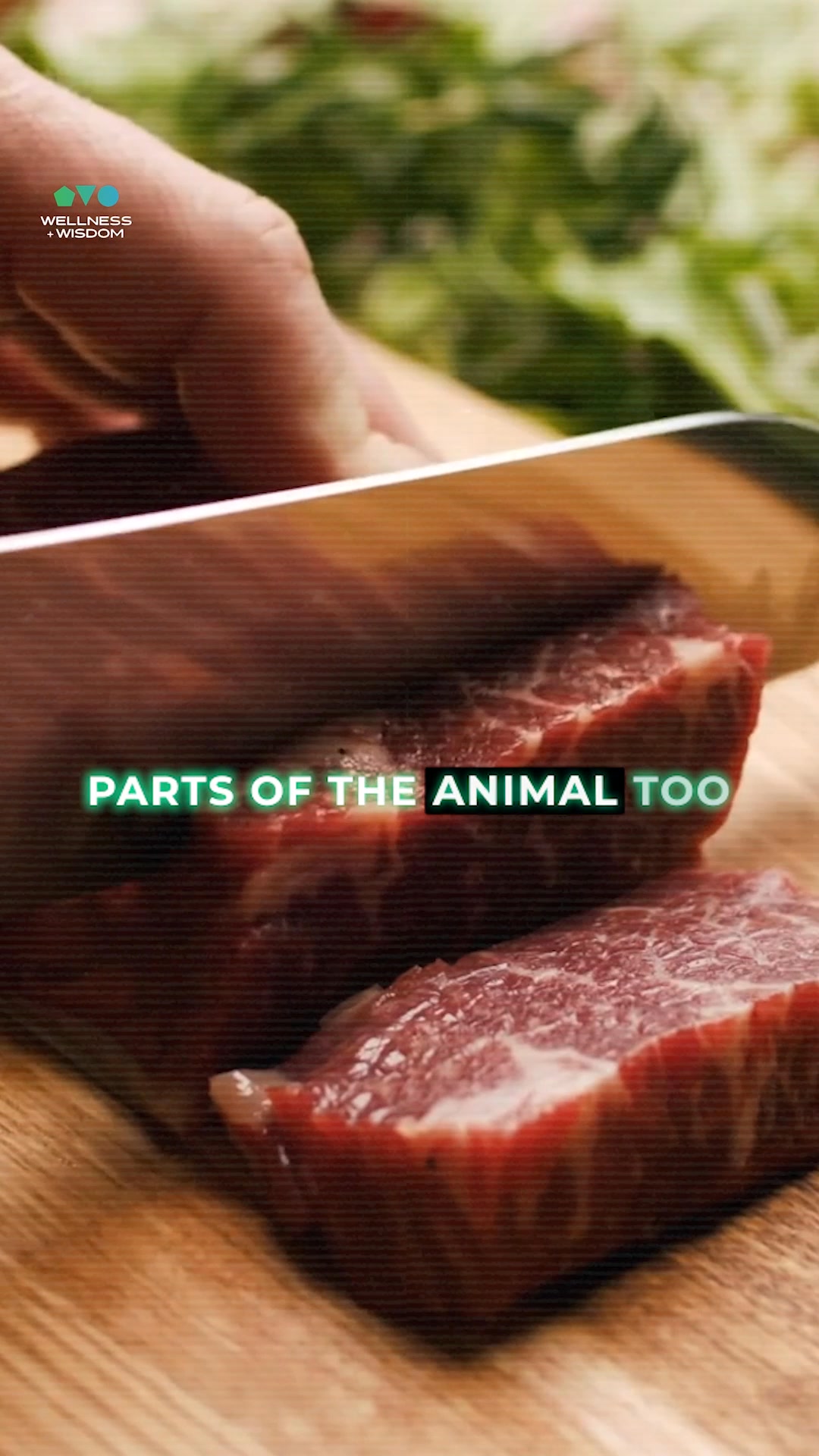 100% Grass-Fed Beef Protein 🥩