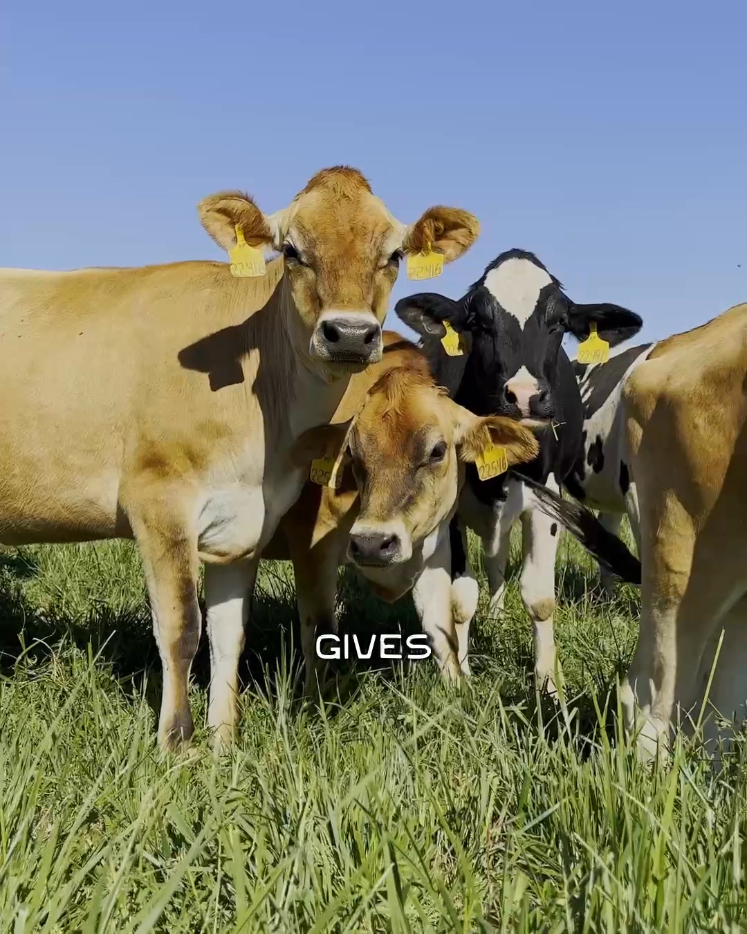 700+ ⭐️⭐️⭐️⭐️⭐️ Reviews