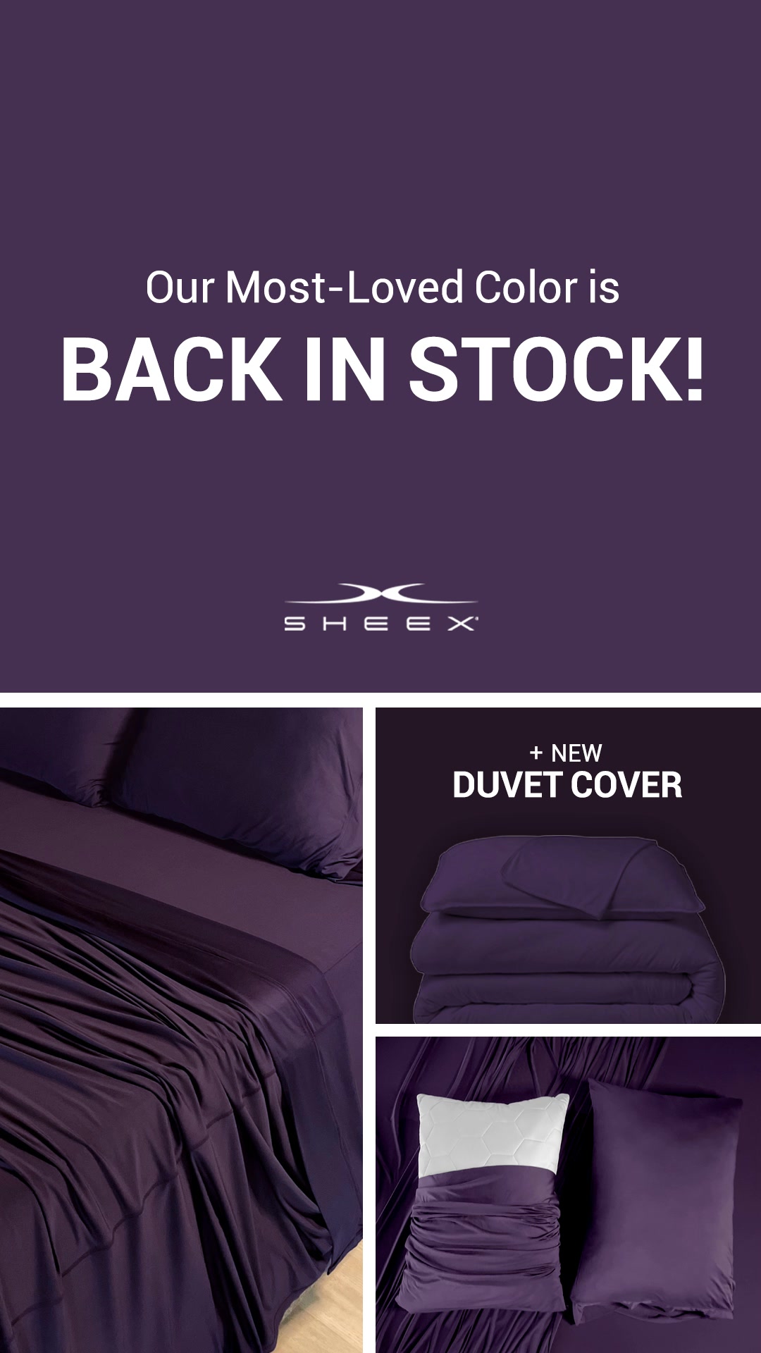 Royal Plum 💜 is back in stock!