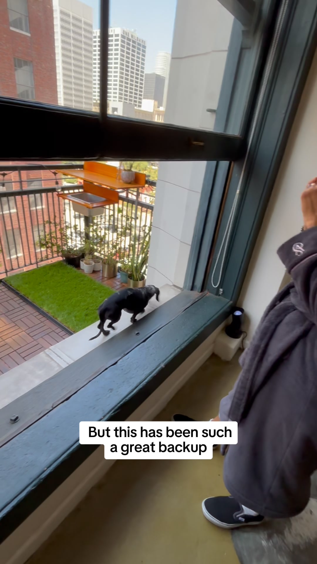 Real Grass for Potty Breaks