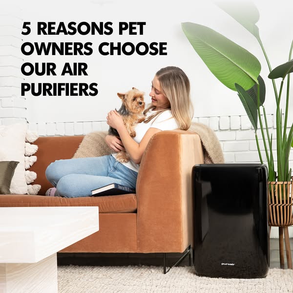 Breathe Cleaner Air with Pets Around 🐶 🐱