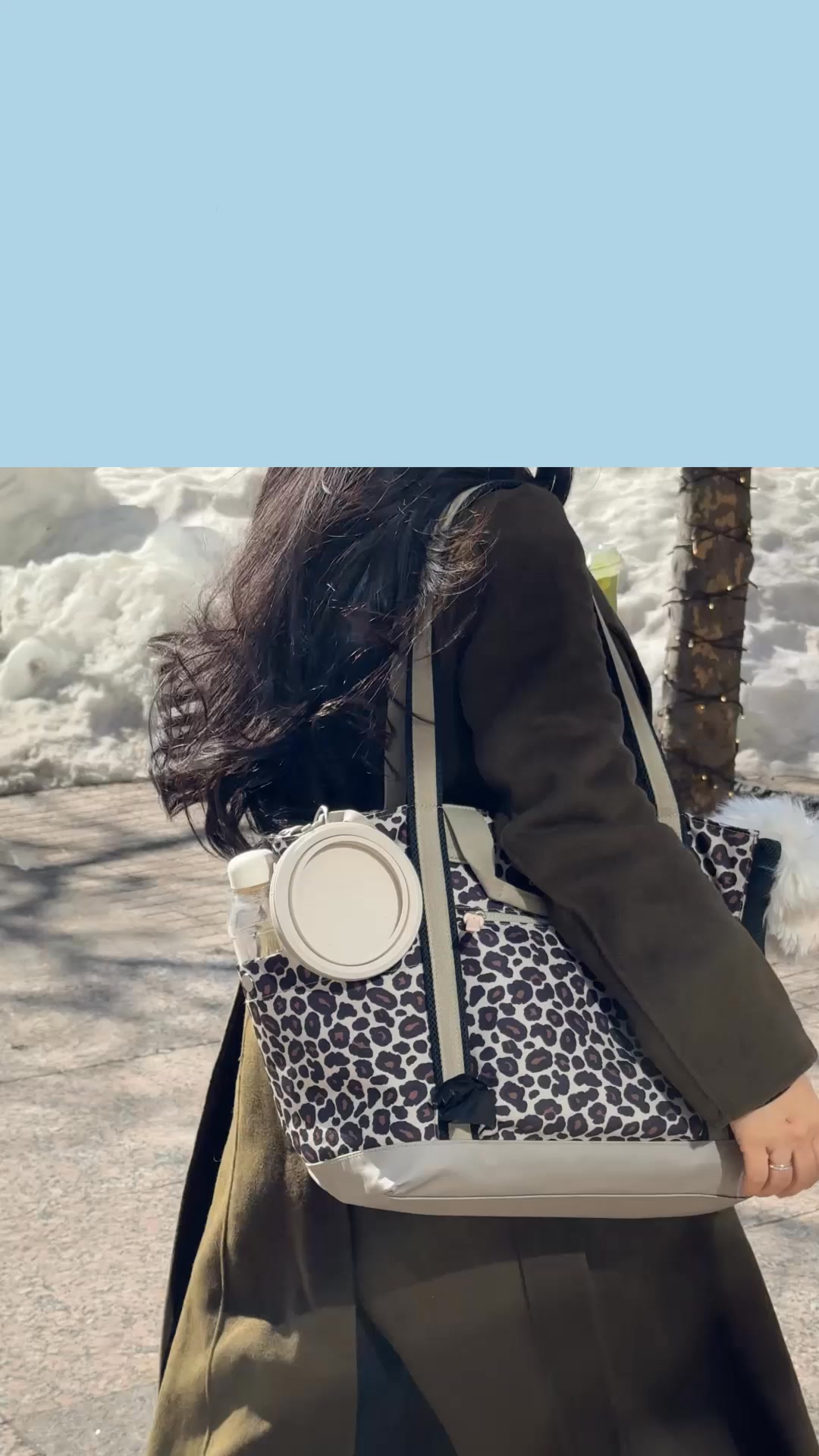 Save on Pup Gear with the BFF Bundle