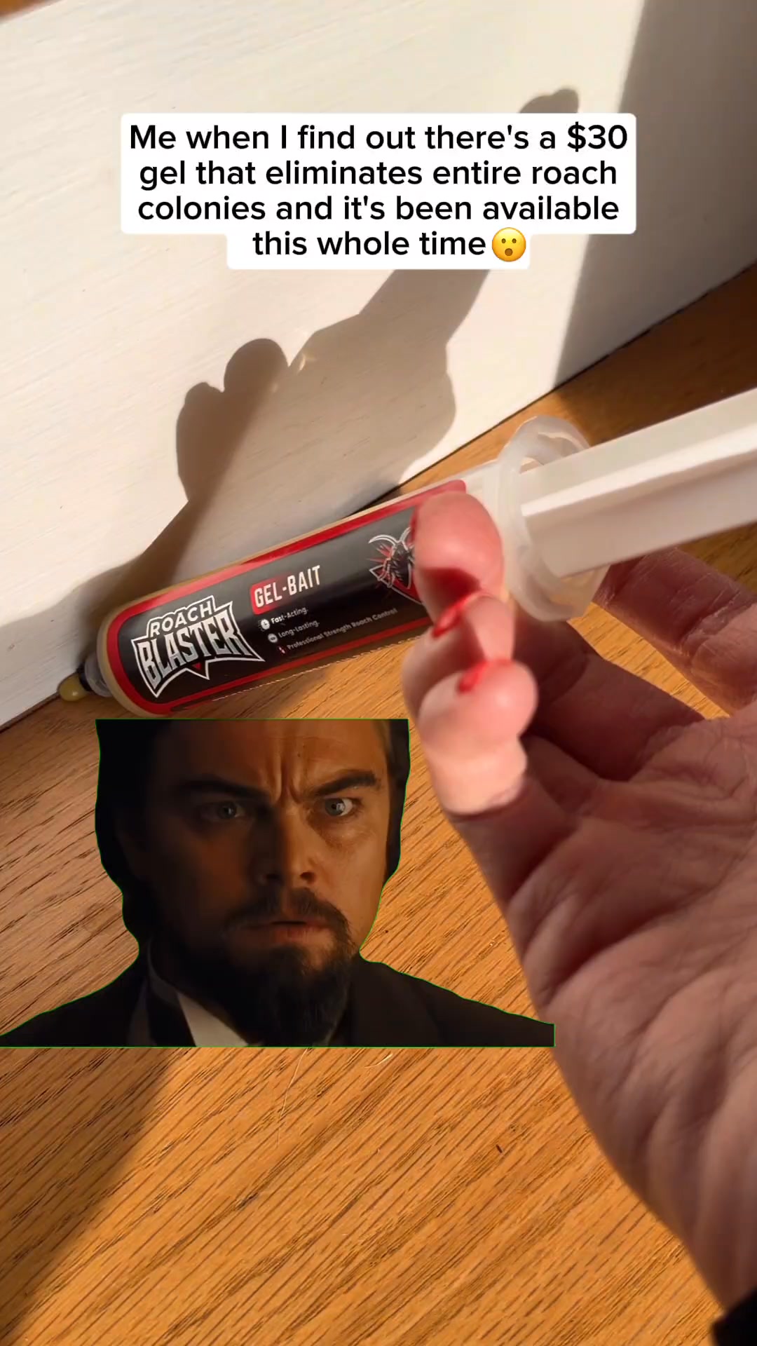 Get Rid of Roaches Forever