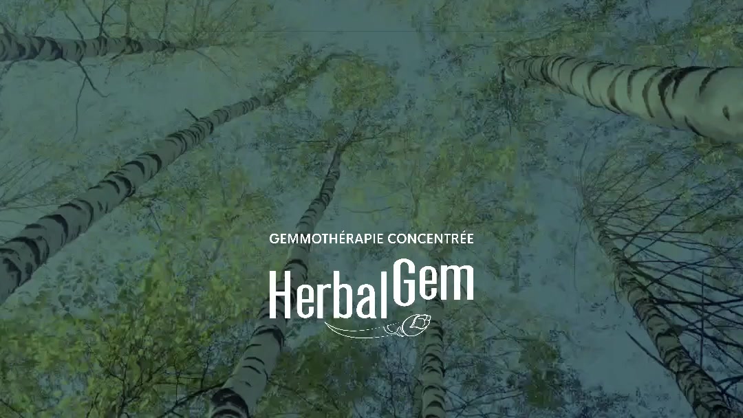 De l’arbre au flacon