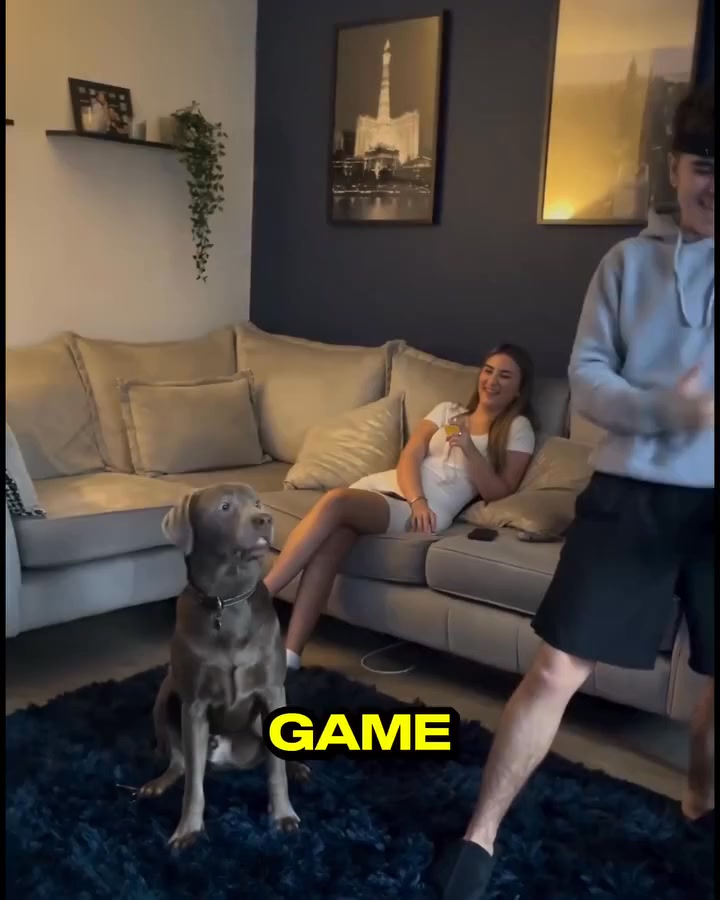 SAVE $50 on the Family Pack