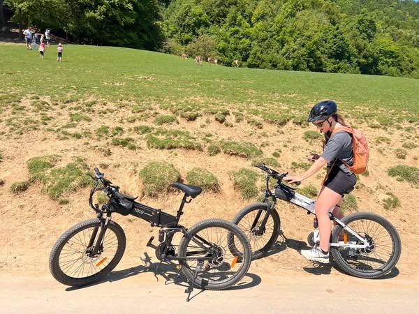 Christmas Special Offer