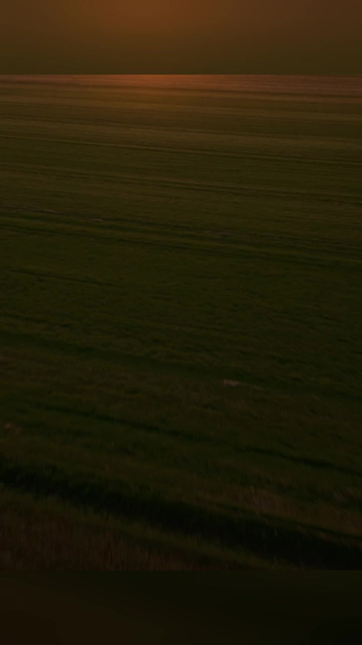 Order Sod by the Roll, Pallet or Truckload