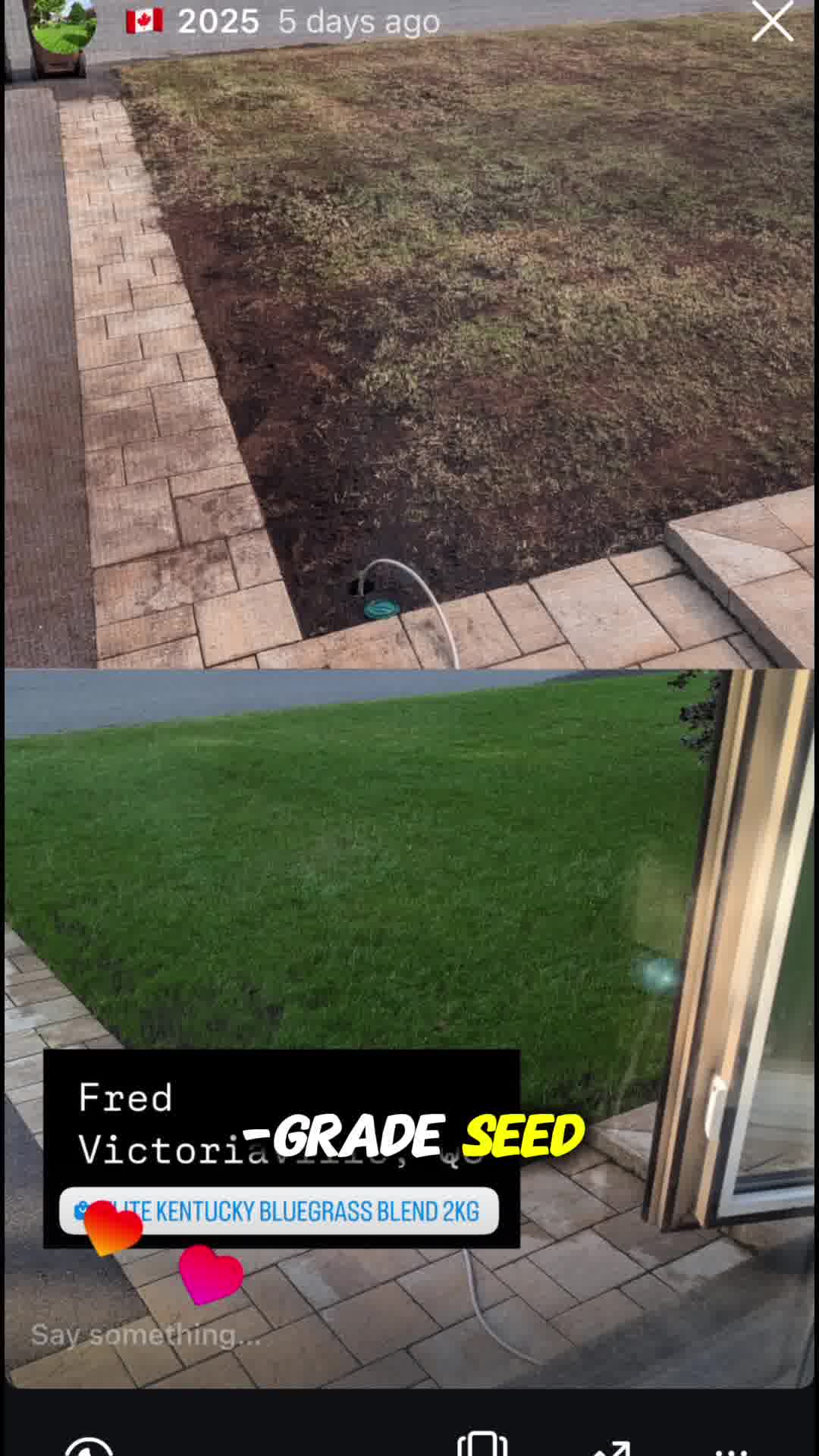 Canada’s Top Choice for Dark Green Lawns