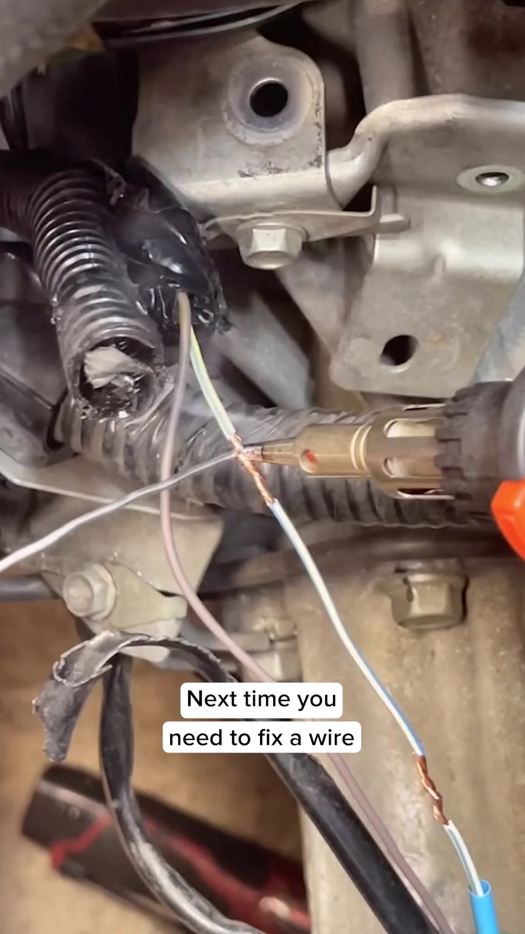 Our Biggest Sale Ends Today