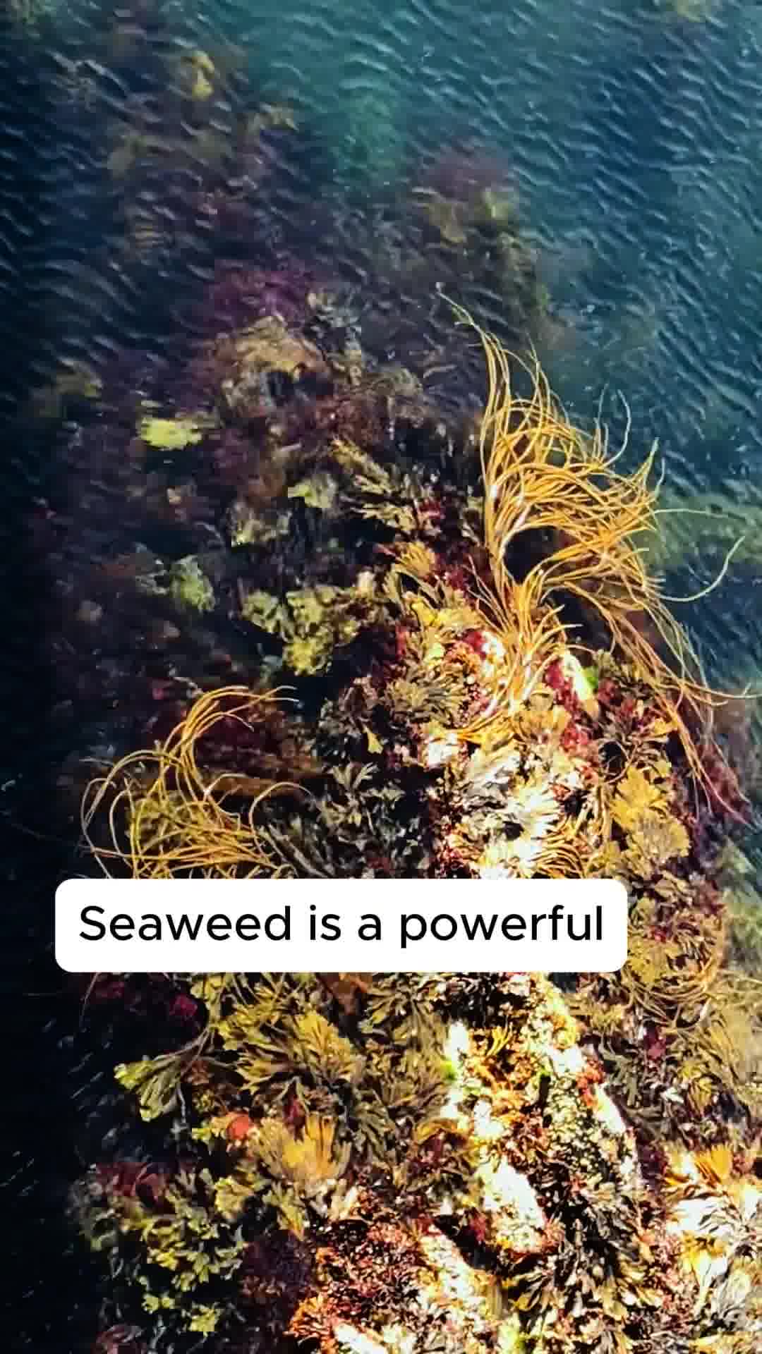 Haircare to help combat hair loss 💙