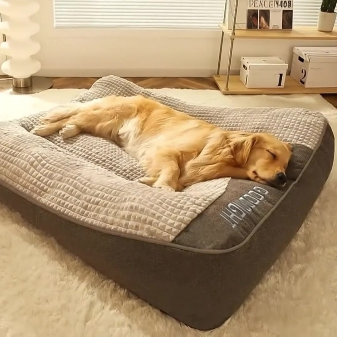 Get 60% OFF + FREE Worldwide Shipping!