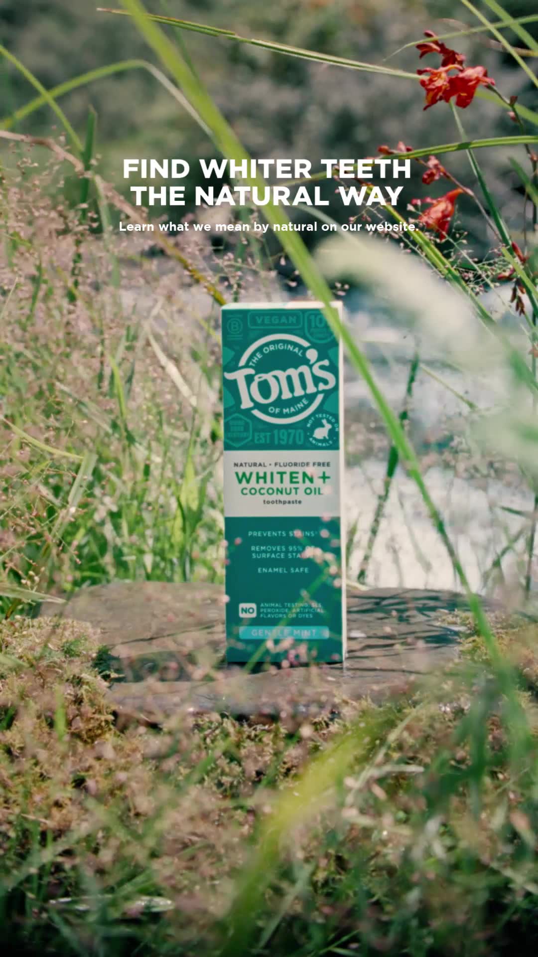 Never Underestimate Nature