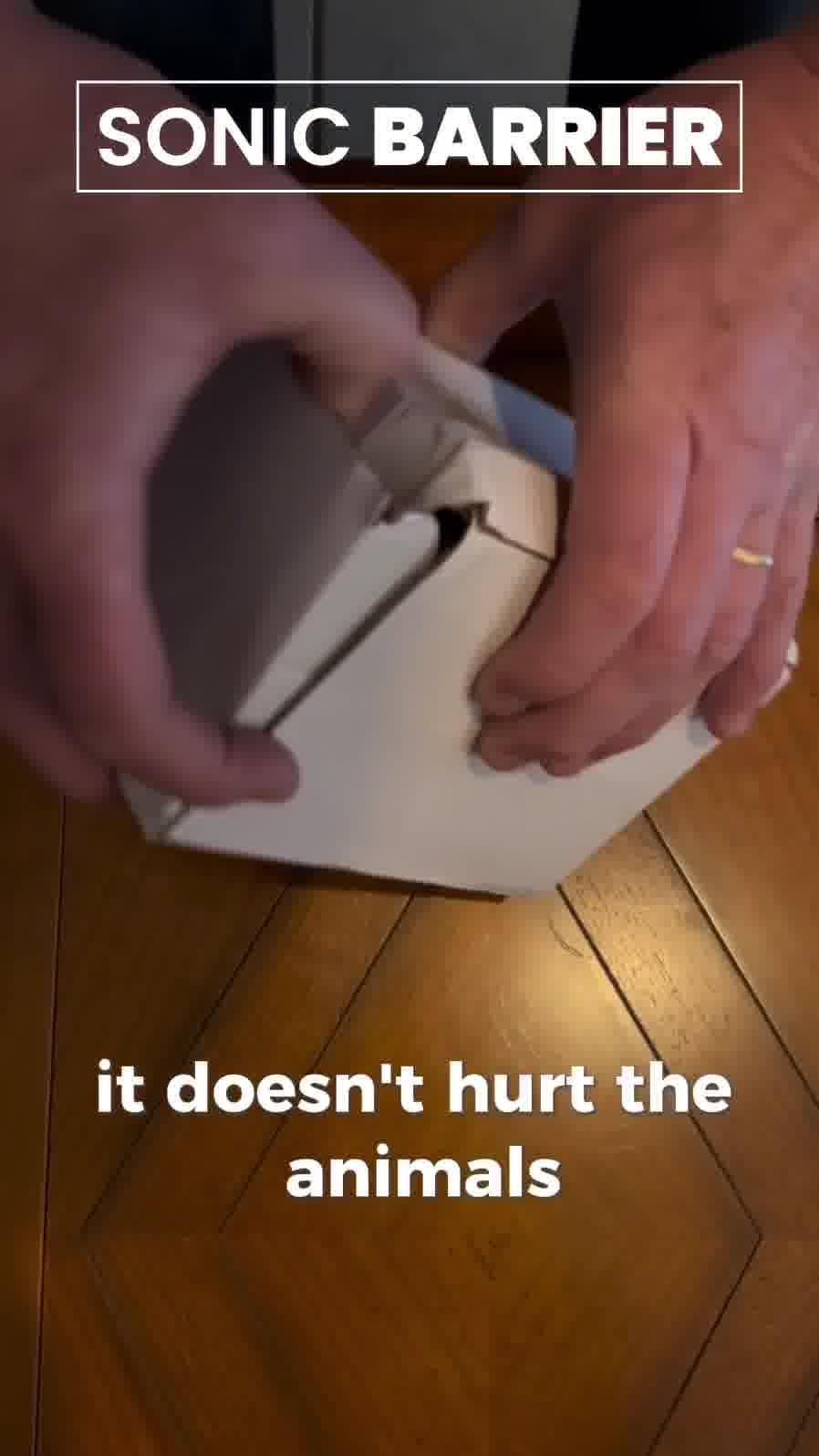 Say Goodbye to Unwanted Feline Visitors