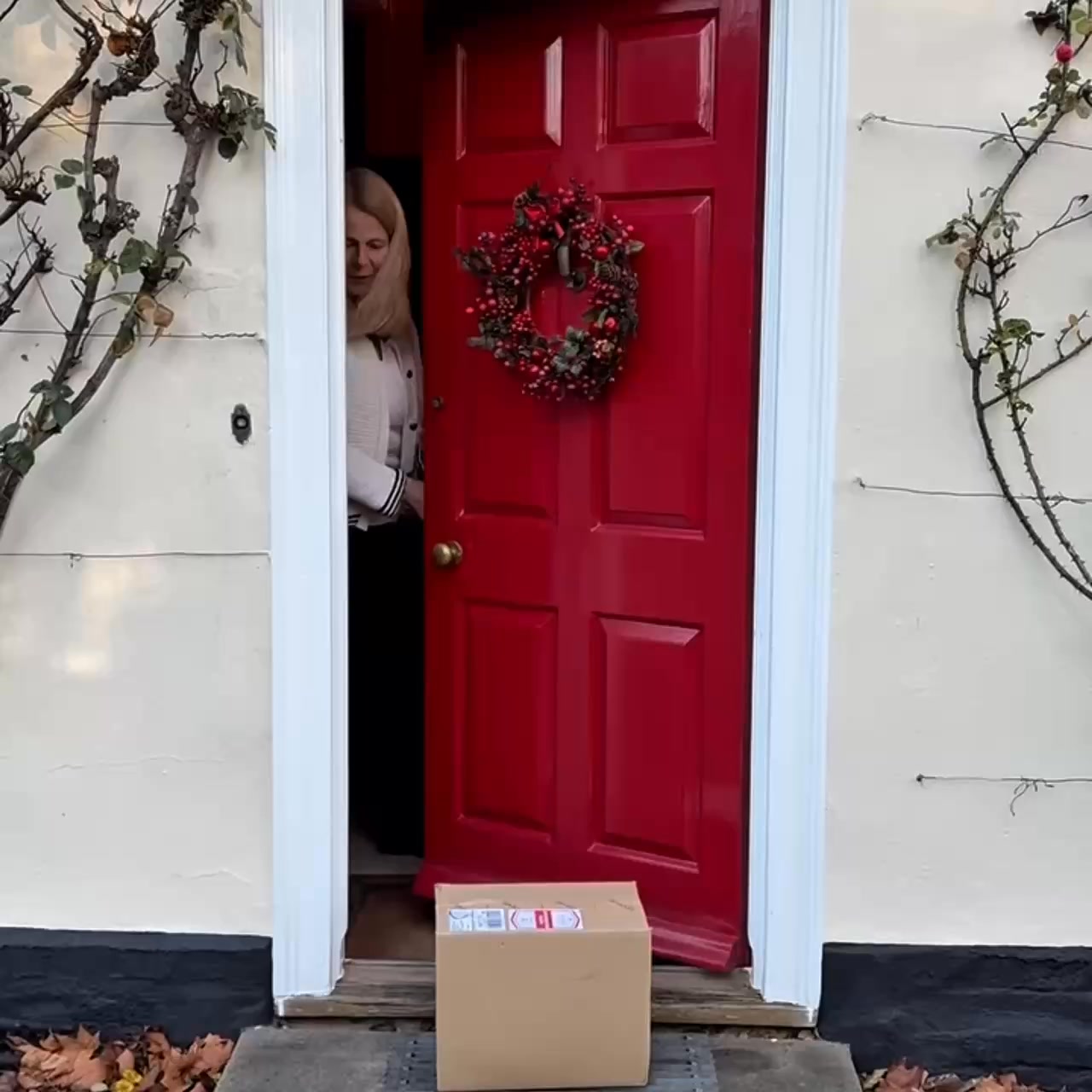Frozen Ready Meals Delivered
