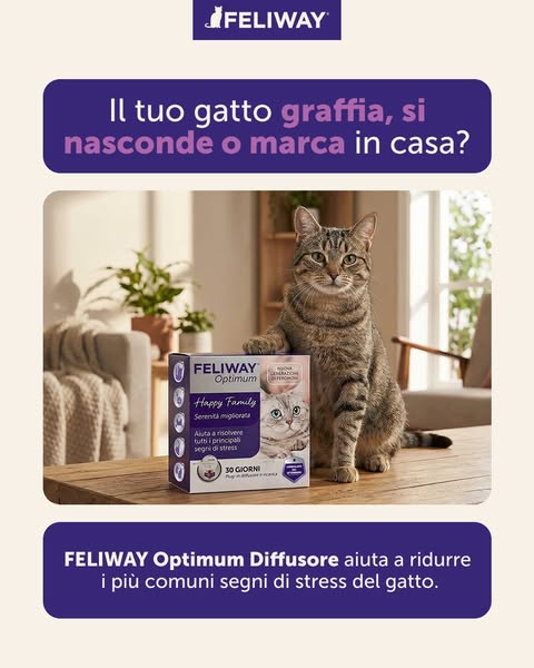 Il tuo gatto graffia, marca o tende a nascondersi in casa? 🐱
Non sono comportamenti casuali.

Spesso sono segnali di stress che emergono quando qualcosa nel suo ambiente cambia. Imparare a riconoscerli è il primo passo per intervenire nel modo giusto e aiutarlo a sentirsi più sicuro.

FELIWAY Optimum Diffusore contribuisce a ridurre i principali segnali di stress e a creare un ambiente più sereno e prevedibile.
