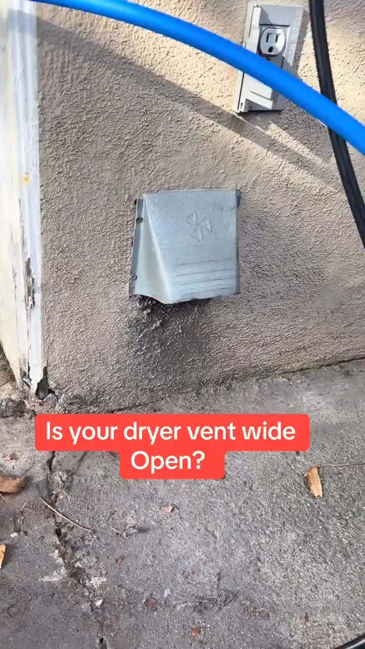 Stop Rodents From Using Your Dryer Vent