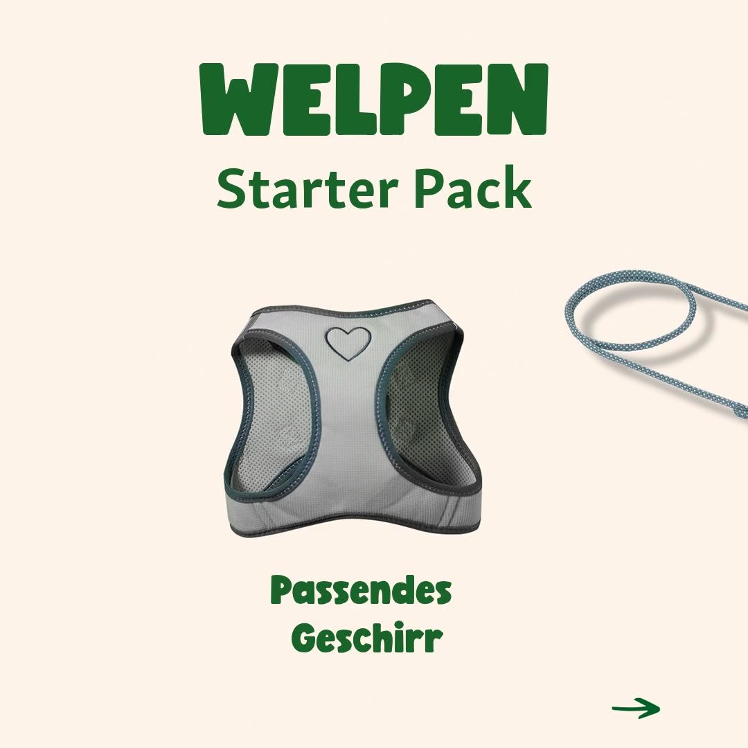 Bestens ausgestattet