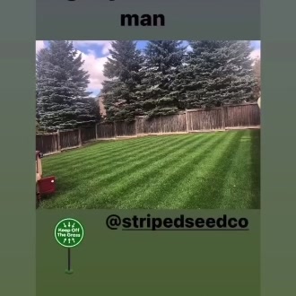 Get a Lush, Dark Green Lawn Today!